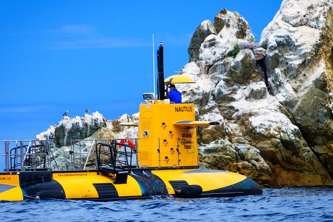 Yellow Semi-Submarine Tour of Catalina Island From Avalon - Good To Know