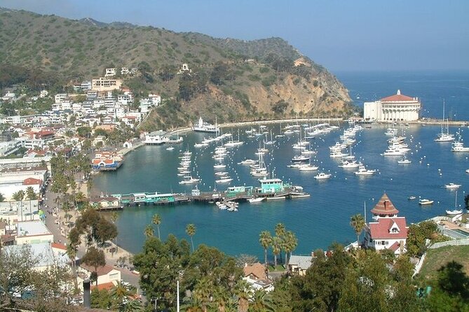 Yellow Semi-Submarine Tour of Catalina Island From Avalon - Meeting Point and Transportation