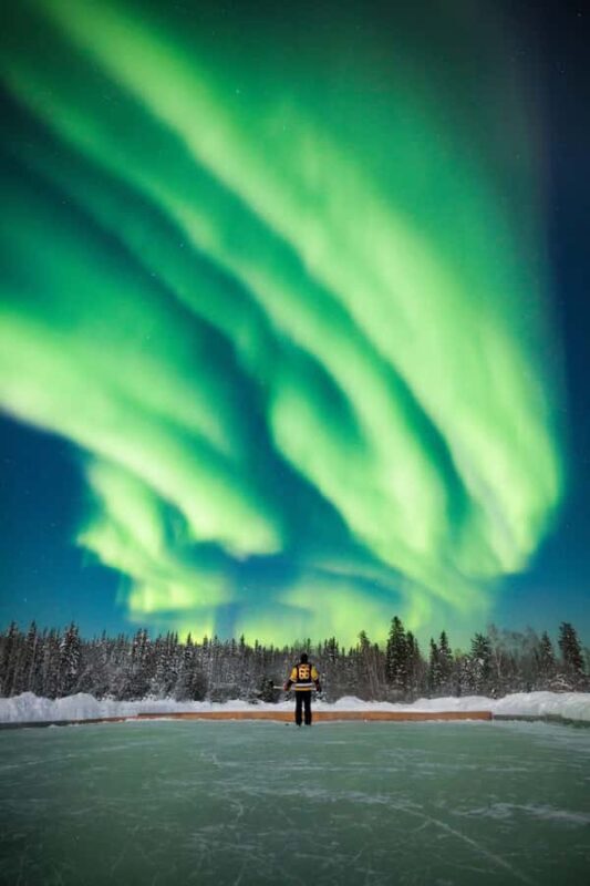 Yellowknife: Full-Day Aurora Borealis Viewing Tour - Key Points