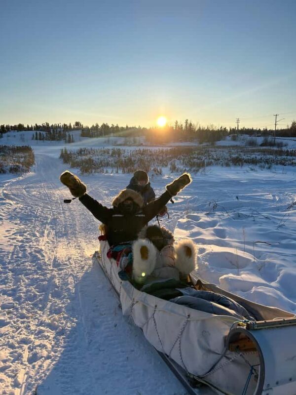 Yellowknife: Indigenous Dog Sledding Experience - An In-Depth Look at the Dog Sledding Experience