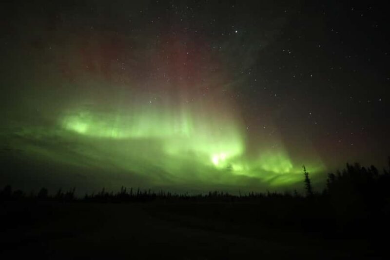 Yellowknife: Northern Lights Chasing Tour by Bus - The Experience Provider and Similar Tours
