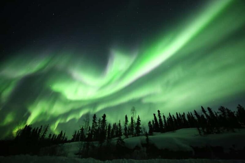 Yellowknife: Northern Lights Chasing Tour by Bus - Who Should Consider This Tour?