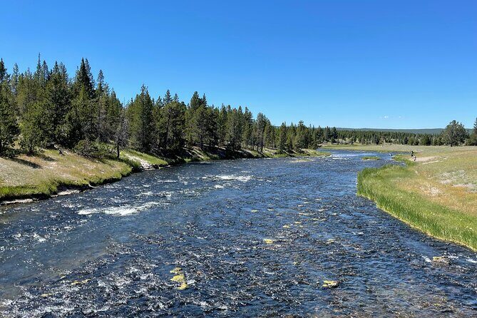 Yellowstone Bus Tour - Key Points