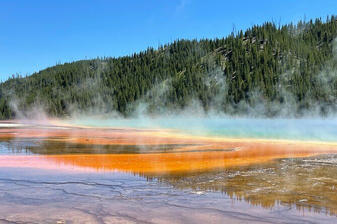 Yellowstone Bus Tour - An In-Depth Look at the Yellowstone Bus Tour
