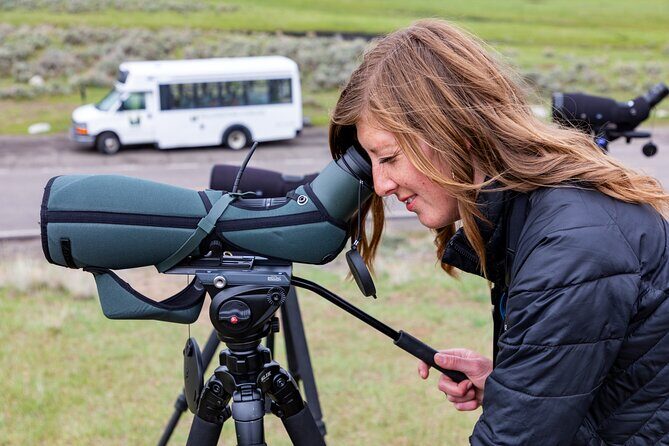 Yellowstone Day Adventure - Who Is This Tour Best Suited For?