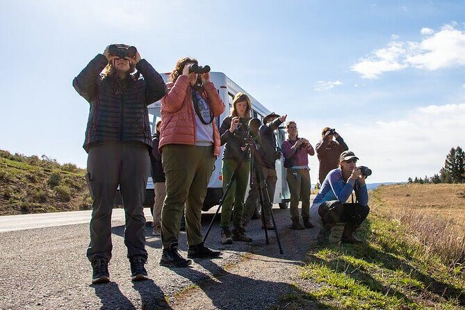 Yellowstone Day Adventure - Final Thoughts