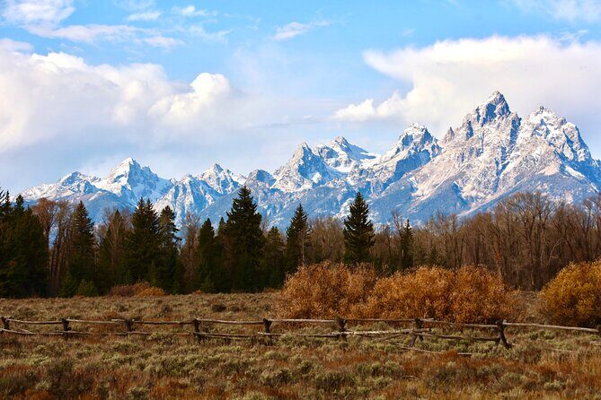 Yellowstone Full Day Tours - An In-Depth Look at Yellowstone Full Day Tours