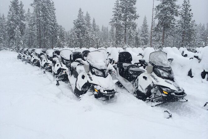 Yellowstone Grand Canyon Full Day Snowmobile Tour - An Exciting Day in Yellowstone’s Winter Wonderland