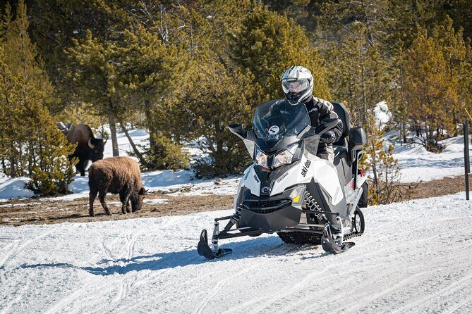 Yellowstone Grand Canyon Full Day Snowmobile Tour - Who Will Love This Tour?
