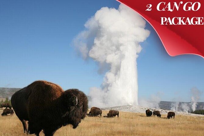 Yellowstone & Grand Teton Tour Review - Good To Know