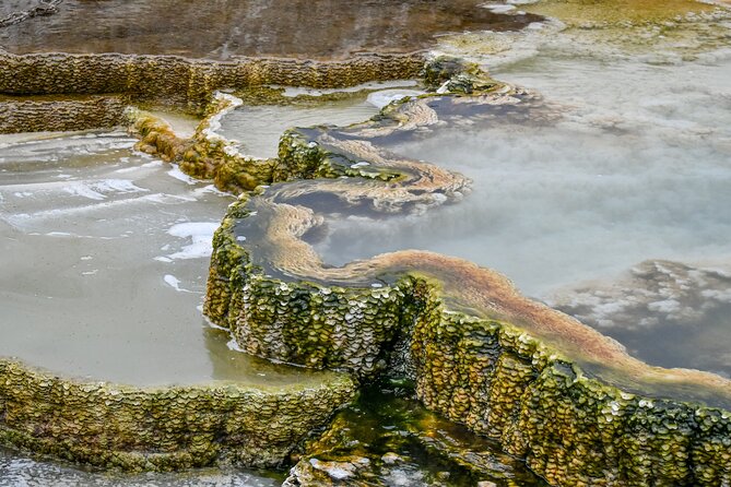 Yellowstone & Grand Teton Tour Review - Health Restrictions and Travel Insurance