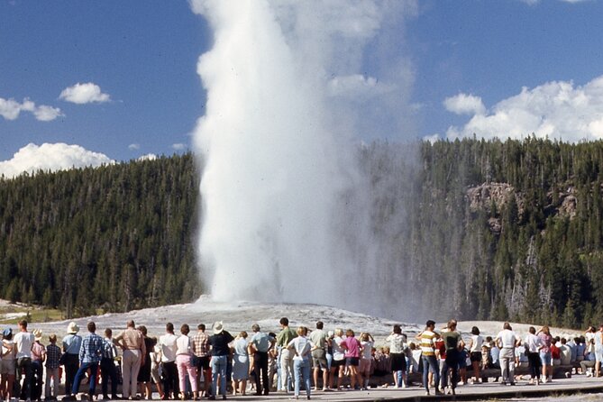 Yellowstone Hot Spring & Geyser Basin Tour - Exploring Yellowstone
