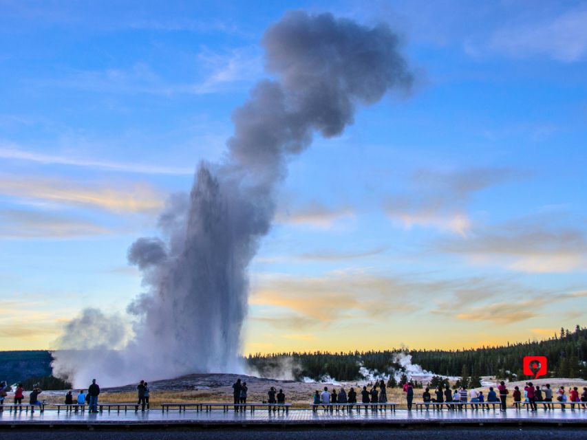 Yellowstone National Park: Driving Tour - Wildlife Viewing