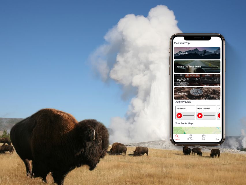 Yellowstone National Park: Driving Tour - Visitor Information