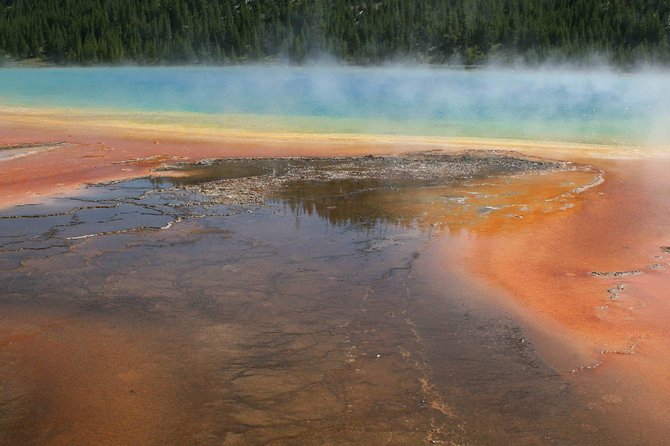 Yellowstone National Park - Full-Day Lower Loop Tour From Jackson - Recap