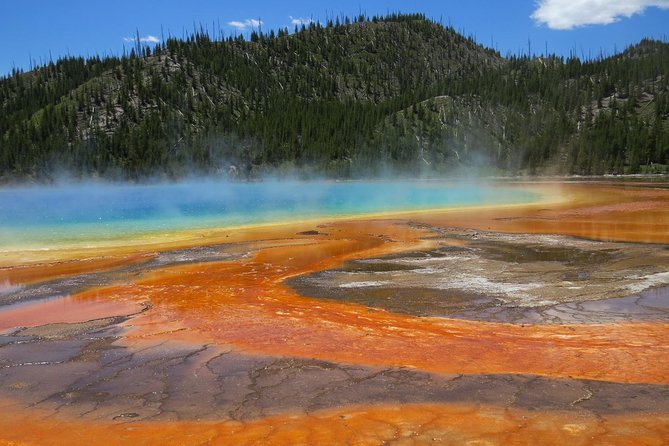 Yellowstone National Park - Full-Day Lower Loop Tour From West Yellowstone - Accessibility and Age Restrictions