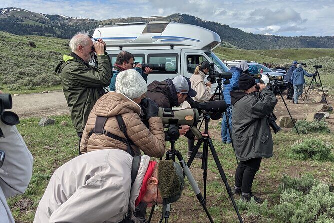 Yellowstone National Park Private Wildlife Tour - The Sum Up