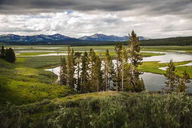 Yellowstone National Park Tour From Jackson Hole - Important Considerations