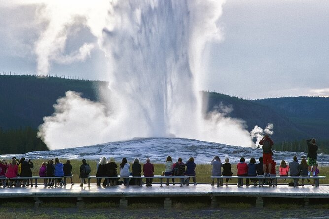 Yellowstone National Park Tour From Jackson Hole - Tips for a Great Experience