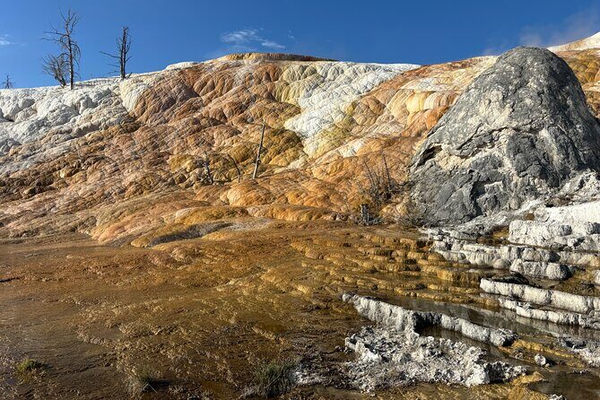 Yellowstone Park Private Day Trip from Big Sky - Full or Half Day - An In-Depth Look at the Yellowstone Private Day Trip