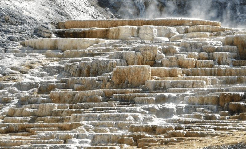 Yellowstone: Private Guided Tour - Additional Tour Options