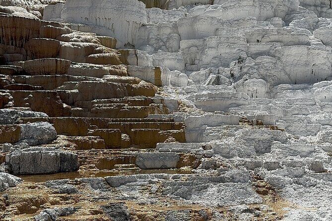 Yellowstone Private Tour - FAQ