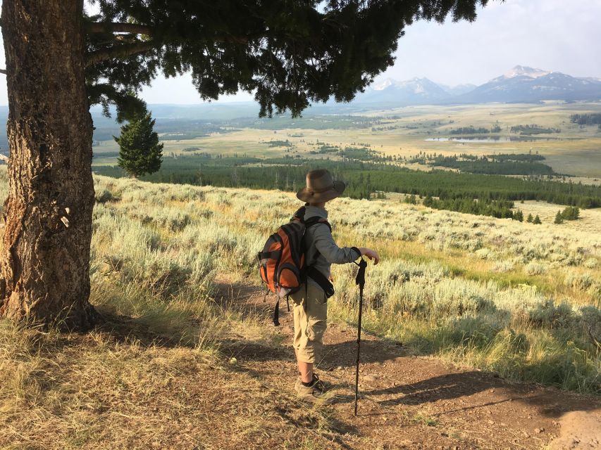 Yellowstone Small-Group Tour From Paradise Valley & Gardiner - Key Points