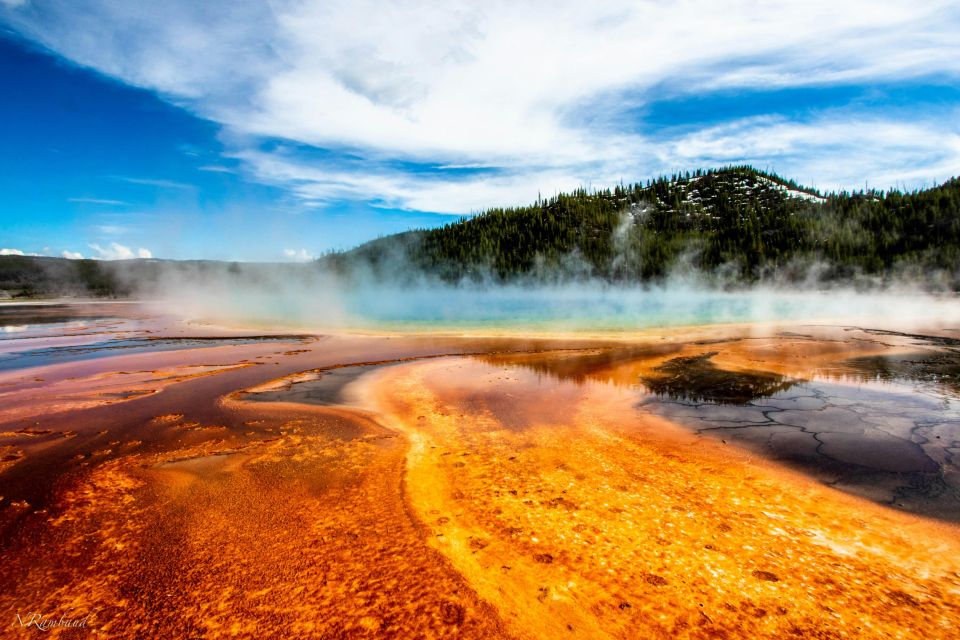 Yellowstone Small-Group Tour From Paradise Valley & Gardiner - Highlights of Southern Loop