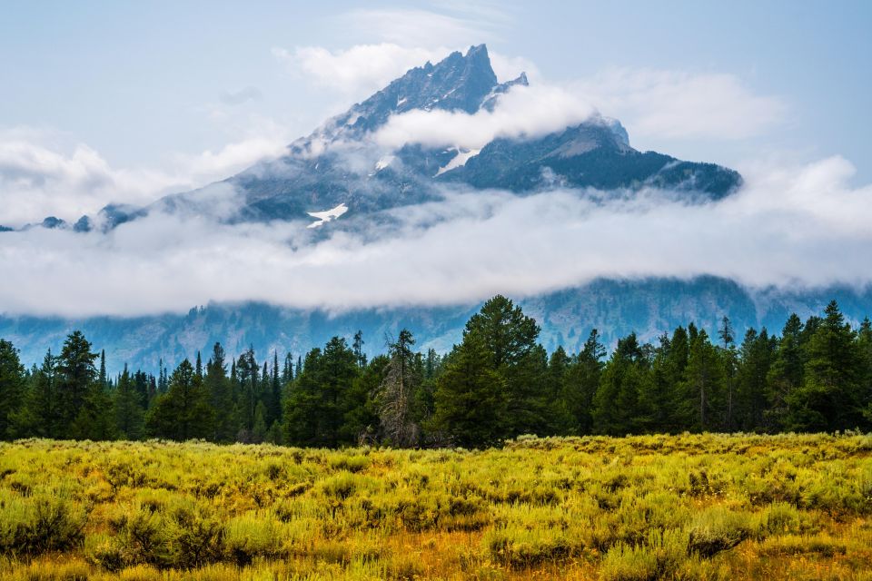 Yellowstone Small-Group Tour From Paradise Valley & Gardiner - Wildlife Sightings and Encounters