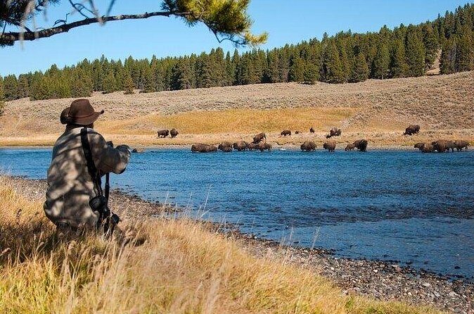 Yellowstone Through the Lens Photography Adventure - In The Sum Up