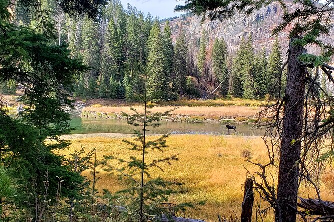 Yellowstone Wildlife Tour - Tour Itinerary