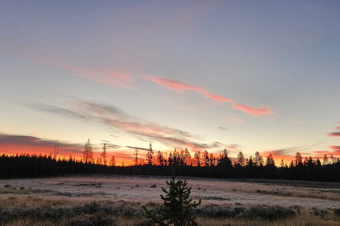 Yellowstone Wildlife Tour - Gear and Equipment