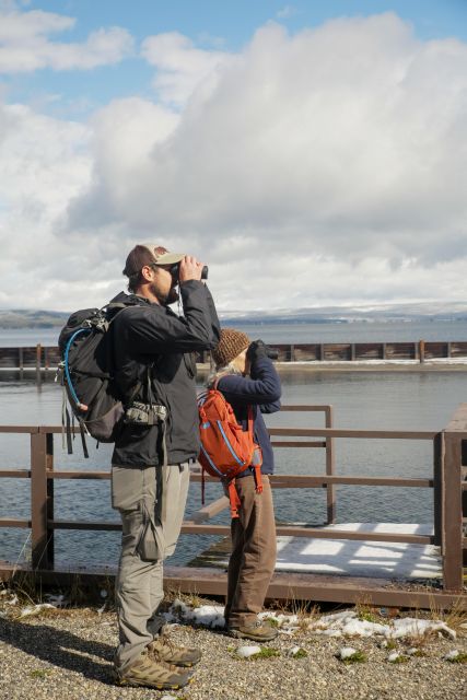 Yellowstone: Winter Wildlife & Snowshoe Adventure - Snowshoeing Through Scenic Landscapes