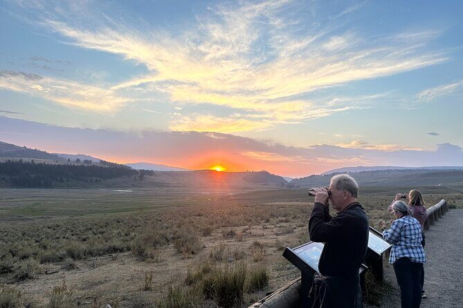 Yellowstone's Lamar Valley & Picnic With Wildlife Guide - What Makes This Tour Stand Out?  