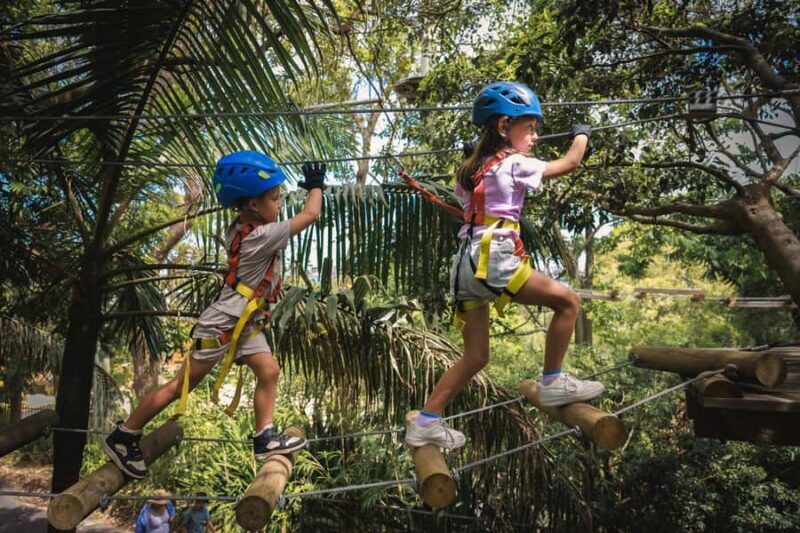 Yeodene: Junior Tree Ropes Course - Who Will Enjoy This?