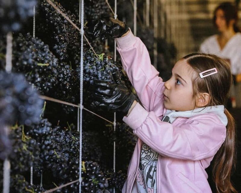 Yerevan: Gevorkian Winery Tour and Tasting Experience - Why This Tour Is Worth Considering