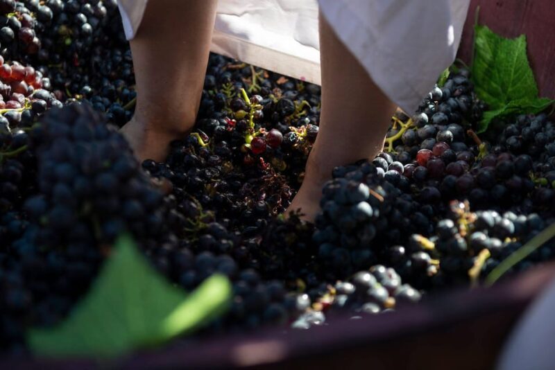 Yerevan: Khor Virap Day Trip with Mount Ararat Wine Tasting - A Journey Through Armenia’s Sacred and Scenic Sights  