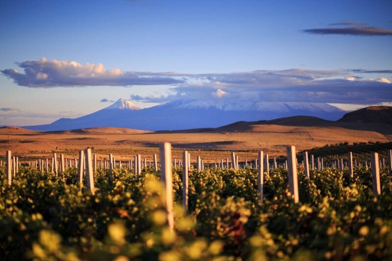 Yerevan: Khor Virap Day Trip with Mount Ararat Wine Tasting - The Scenic Drive and Vineyard Experience  