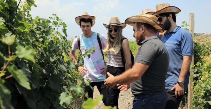 Yerevan: Khor Virap Day Trip With Mount Ararat Wine Tasting - Frequently Asked Questions