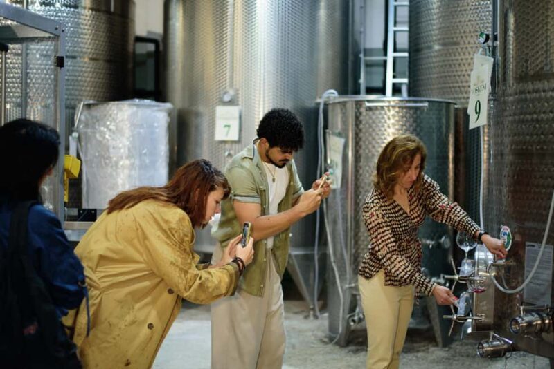 Yerevan: Wine Tasting and Vineyard Lunch at Voskeni Winery - Family Stories and Cultural Insights