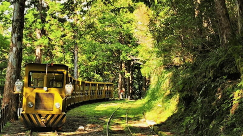 Yilan Taipingshan & Jiuzhize Hot Spring Private Day Trip - The Sum Up