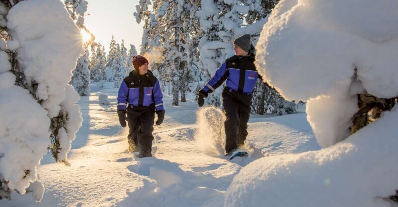 Ylläs: Forest Hike with Snowshoes - Key Points