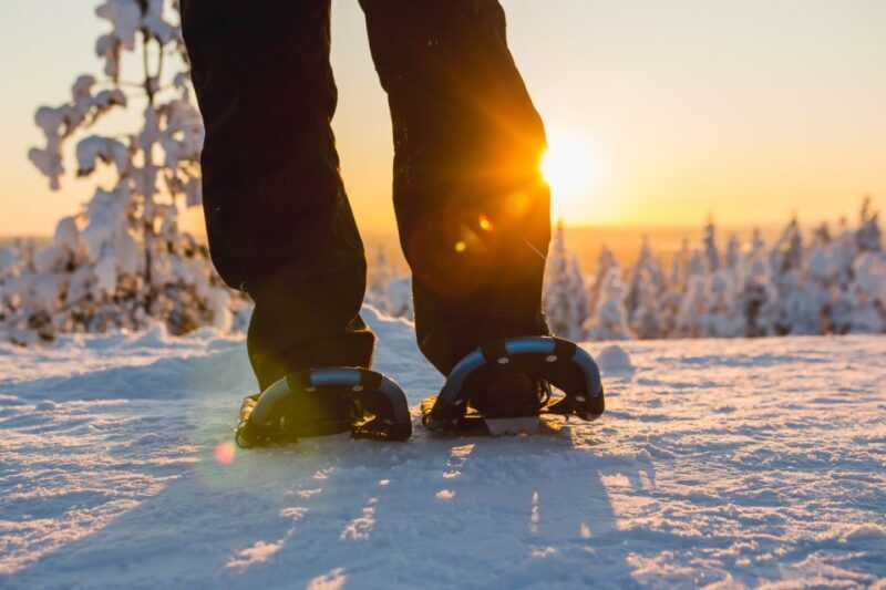 Ylläs: Forest Hike with Snowshoes - Authenticity and Review Insights