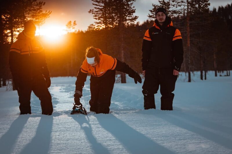 Ylläs: Forest Hike with Snowshoes - The Value for Travelers