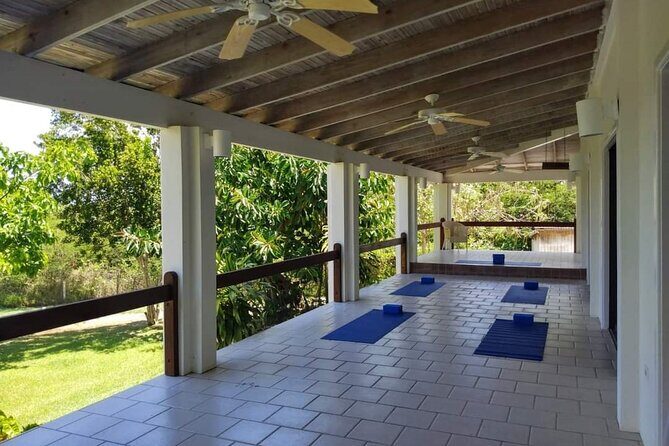 Yoga and Meditation, Group or Private Sessions in Nevis - A Closer Look at the Experience  