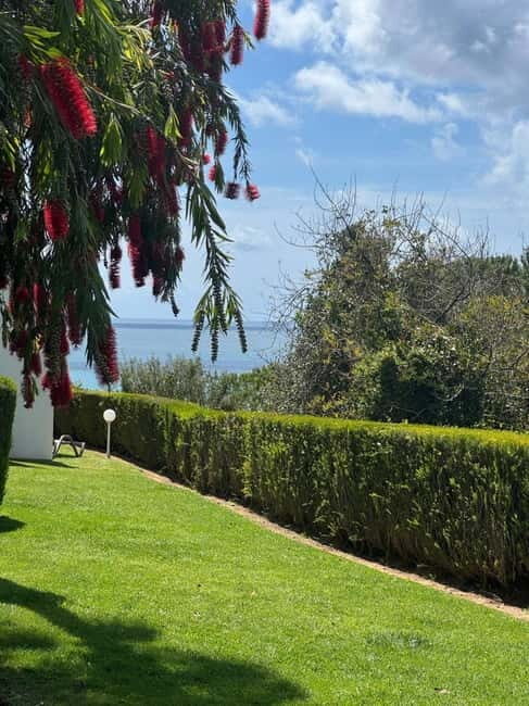 Yoga Brunch in Lagos by el Sol - Lifestyle - The Value and What Travelers Say