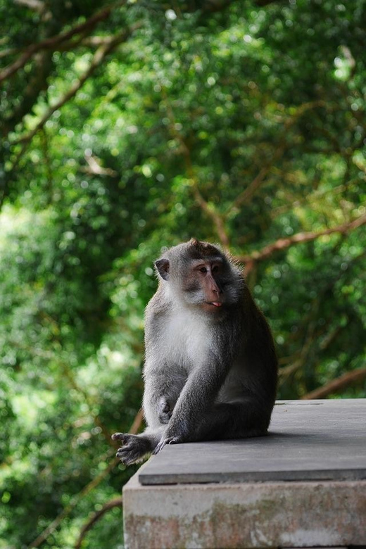 Yoga Class in Ubud for Nature and Cultural Treasures - Pricing and Cancellation Policy