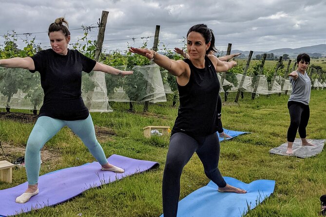 Yoga in Vineyards and Brunch - Connecting With Nature