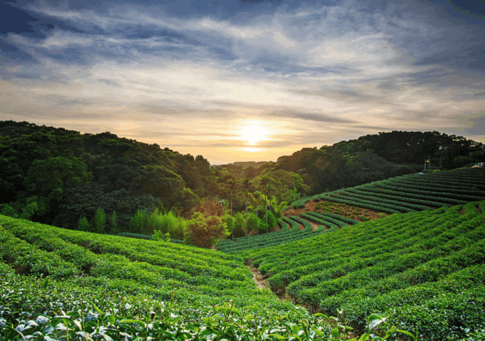 Yogyakarta: Borobudur, Prambanan & Java Nature Exploration - Frequently Asked Questions