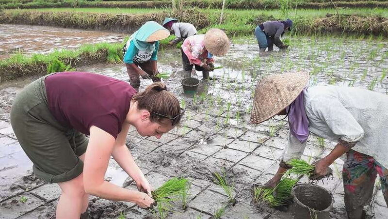 Yogyakarta: Borobudur & Prambanan Private Day Trip - Value for Money